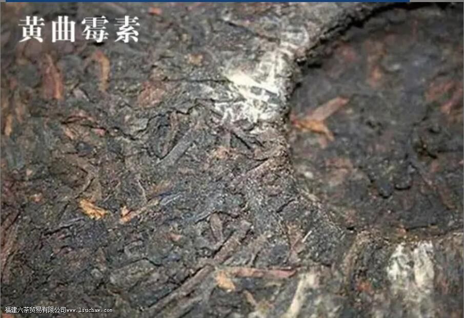 ���յĻ�÷������ʲô