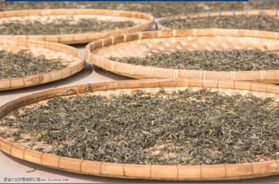 ��������ʲô��