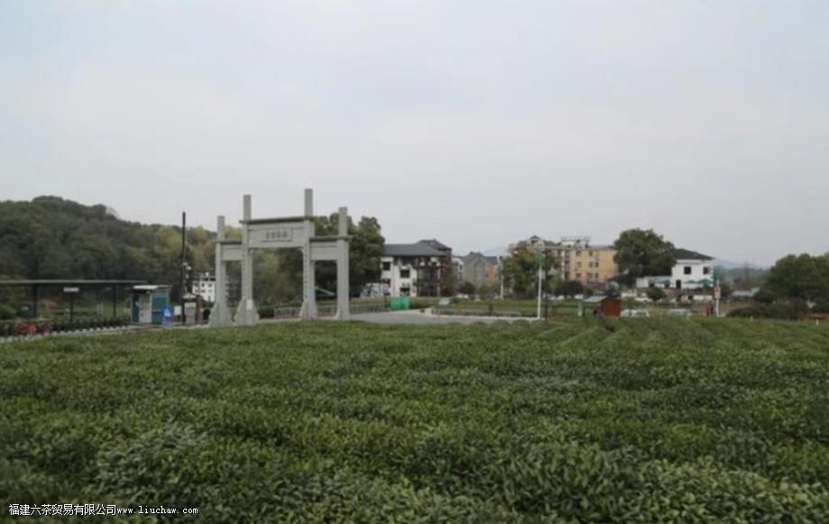 狮峰山龙井特点 狮峰山龙井特点