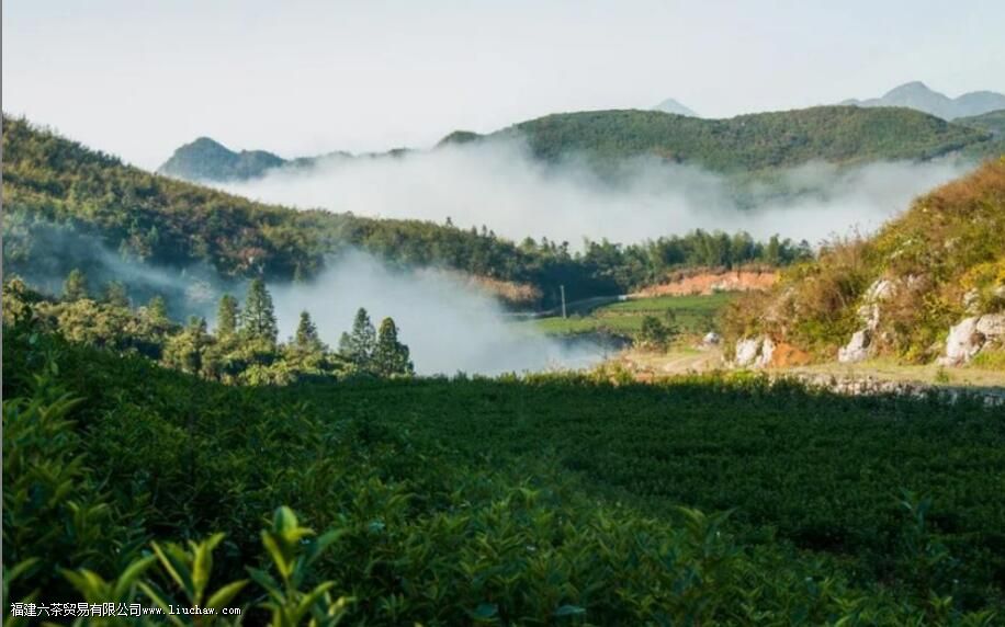 ʮ�����������ǧ���������