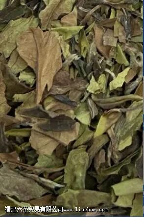 ��ü�ĵȼ����ص�