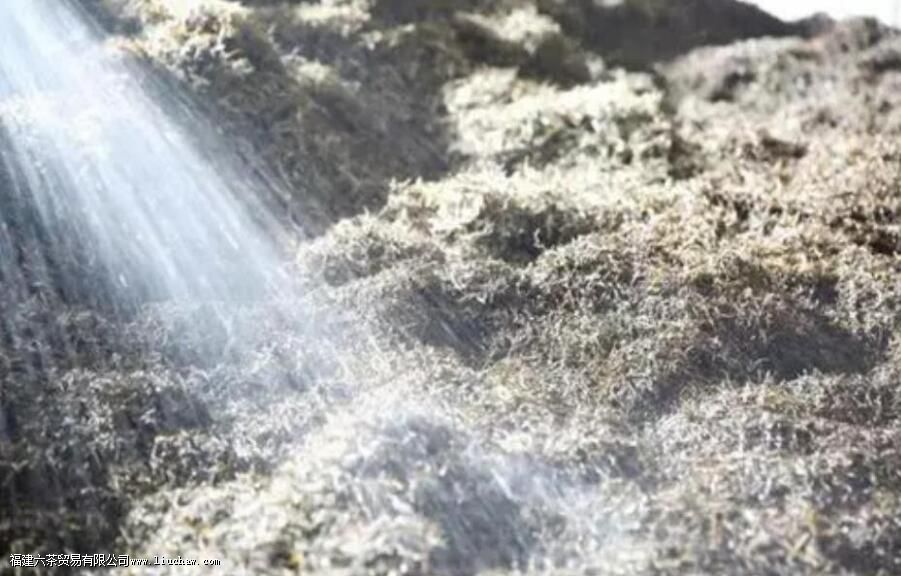 ���ն���ķ���ʱ���Ƕ��