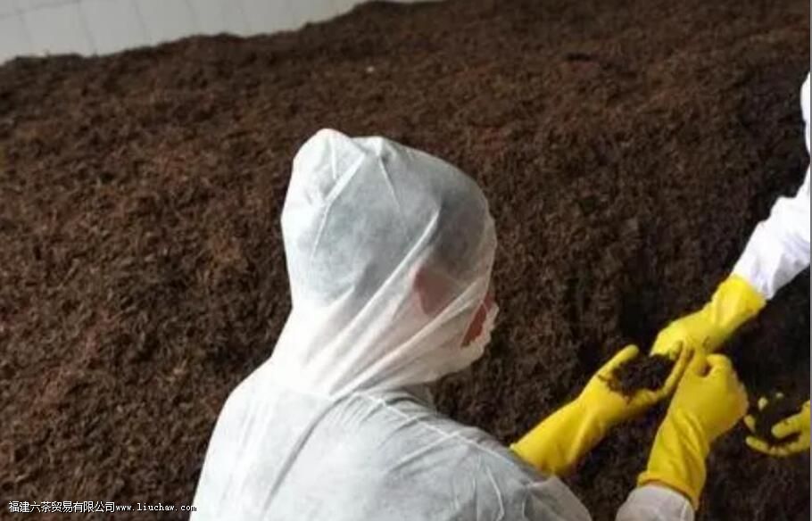 ���ն���ķ���ʱ���Ƕ��