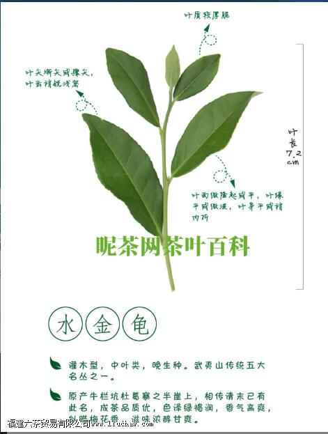 ˮ�������ʲô��