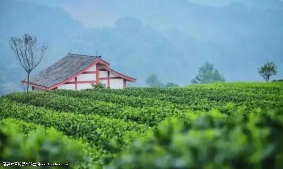 �Ĵ�����������Щ���Ĵ�ʡ��Ҷ��ȫ