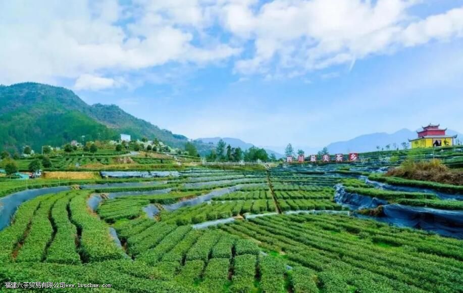 �Ĵ���ֲ�����������Щ