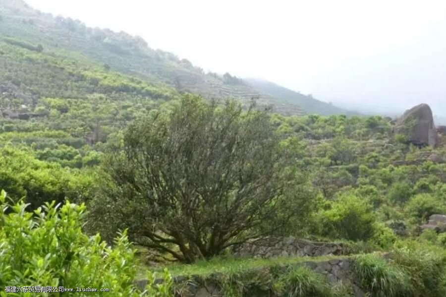 ������ʲô��