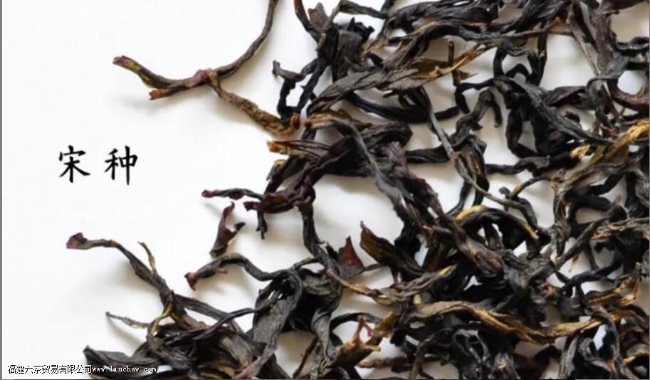 ������ʲô��