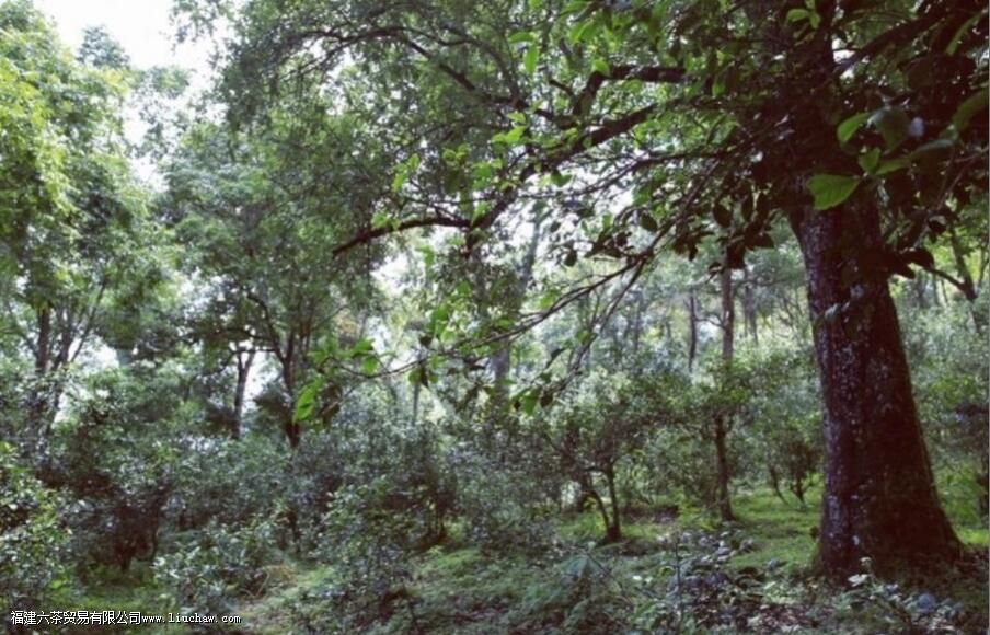 ������ʲô��