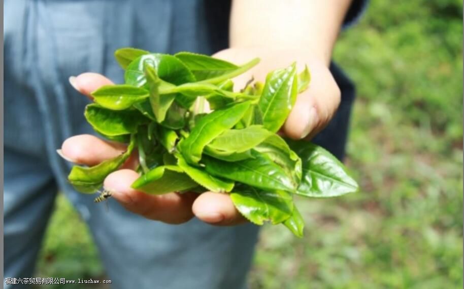 ������ʲô��