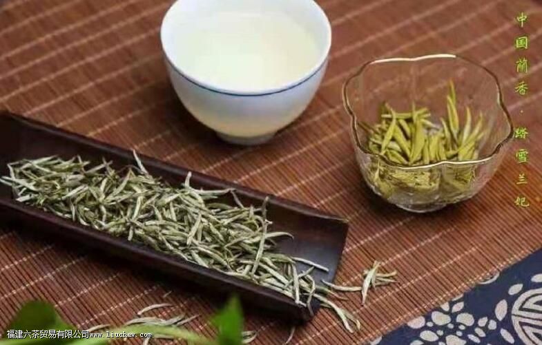 踏雪兰妃茶属于什么茶 踏雪兰妃茶属于什么茶