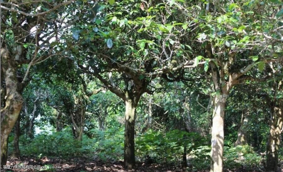 ̨�ز�ʹ�������ʲô����