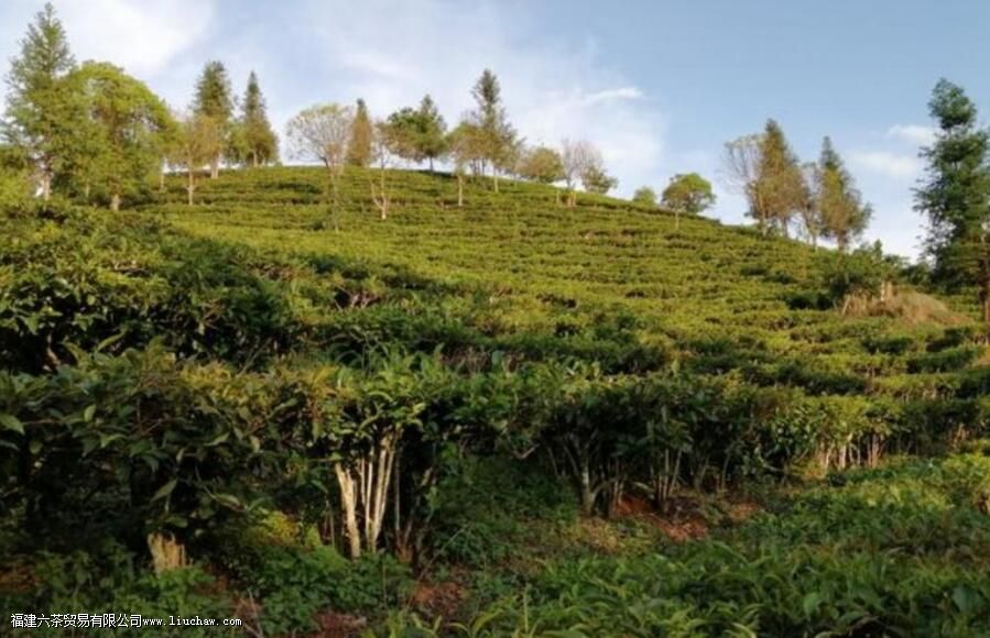 ̨�ز�ʹ�������ʲô����