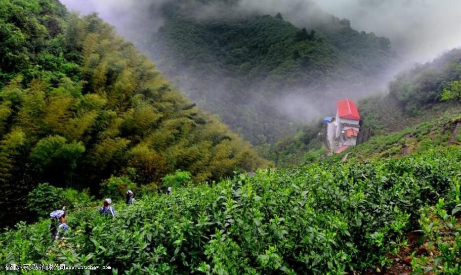 ̫ƽ������Ʒ�������Լ��ص�