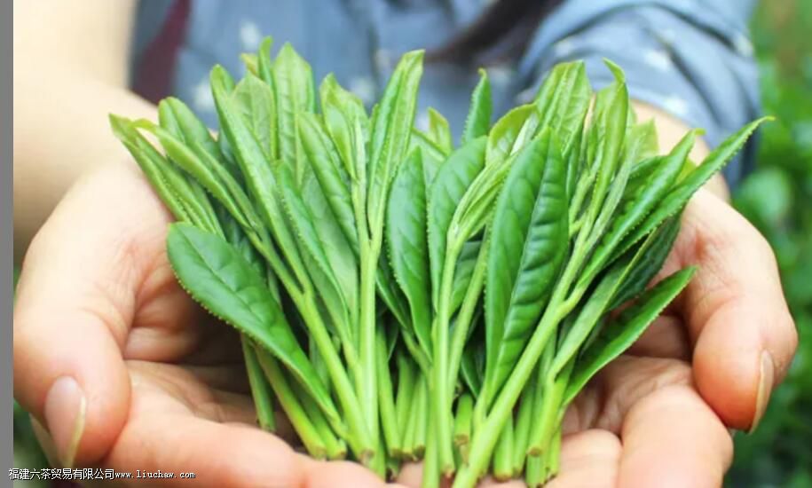 ̫ƽ������ص㼰�ڸ�