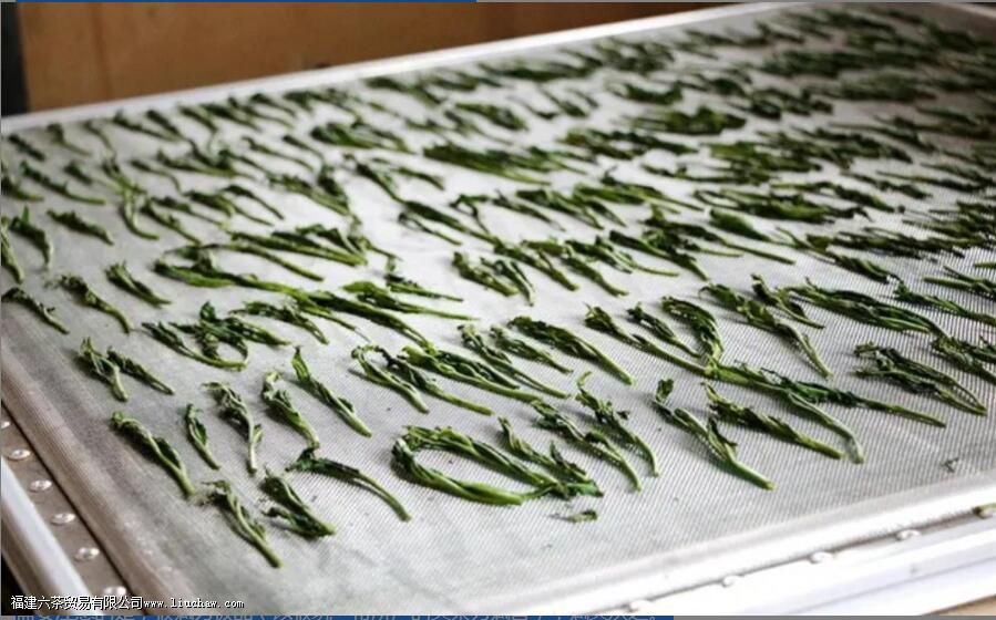 ̫ƽ������ص㼰�ڸ�