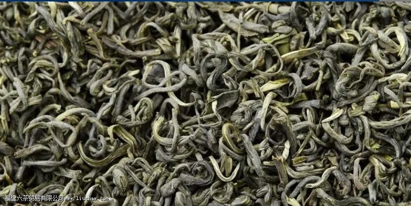 滩茶是什么茶 滩茶的特点 滩茶是什么茶 滩茶的特点