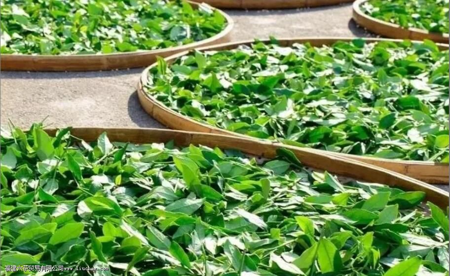 ��������ժ��׼��ʲô