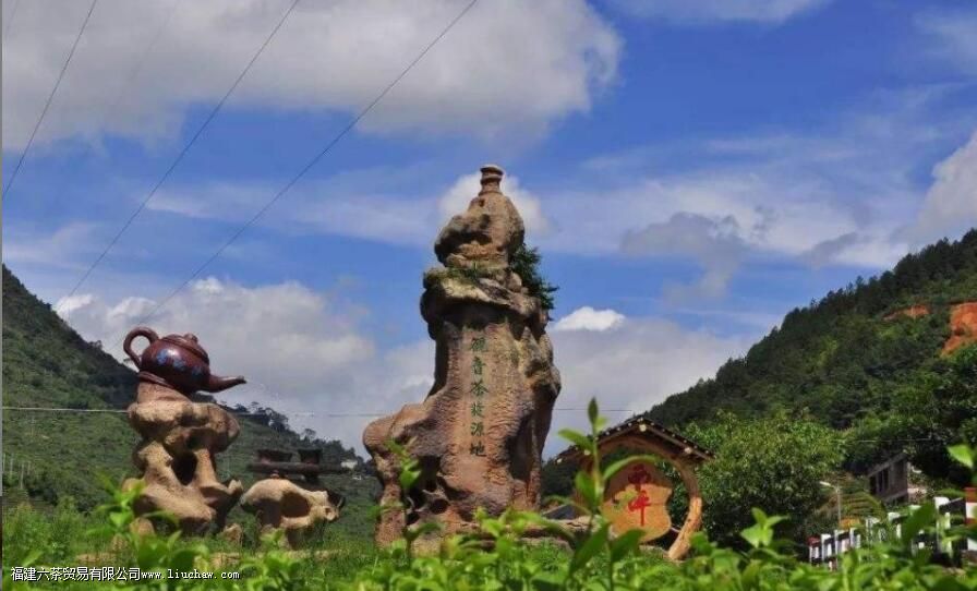 铁观音产地 铁观音产地