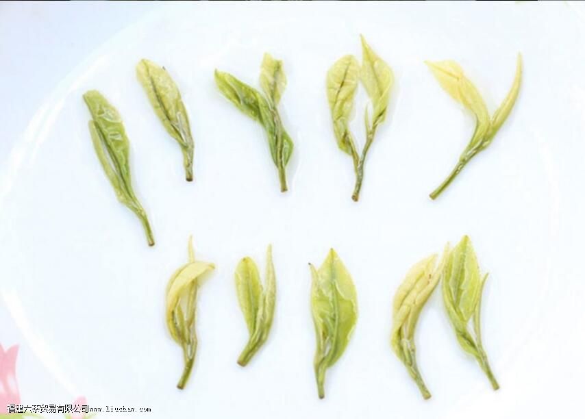 ͨ�������ο�����Ҷ�û�