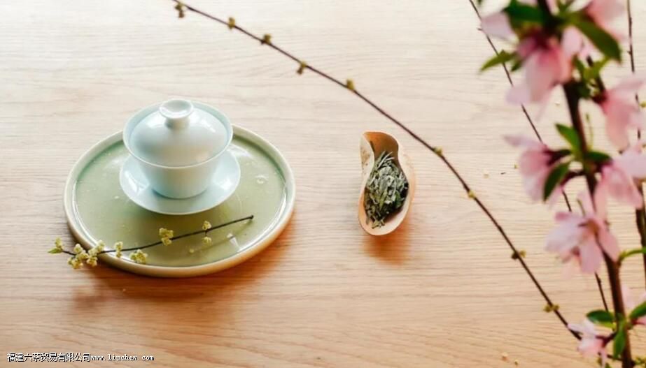 头采茶、头春茶、明前茶、雨前茶,看完这些就懂了 头采茶、头春茶、明前茶、雨前茶,看完这些就懂了