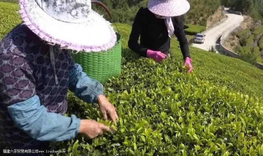 ͷ�ɺͶ��ɵ�������ʲô