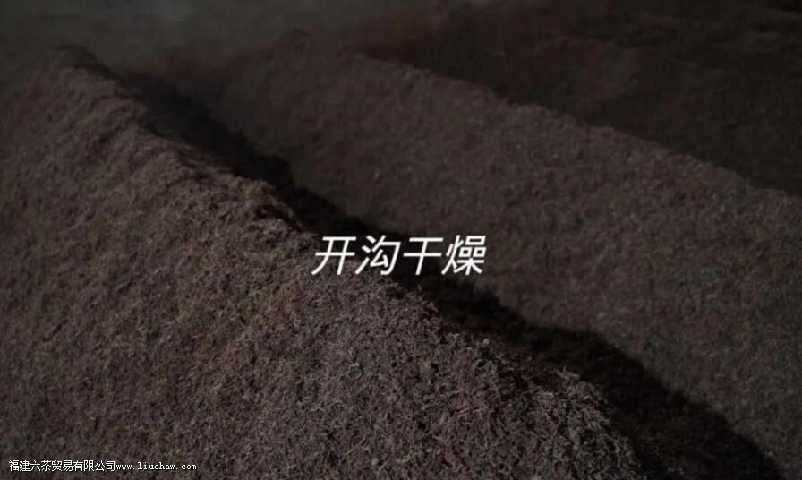 渥堆的主要目的有哪些 渥堆的主要目的有哪些