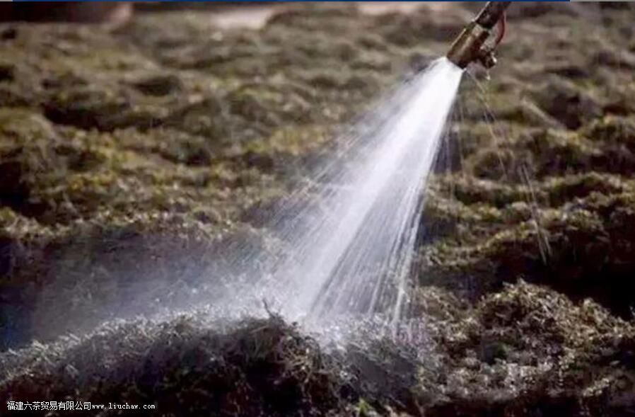 渥堆的主要目的有哪些 渥堆的主要目的有哪些