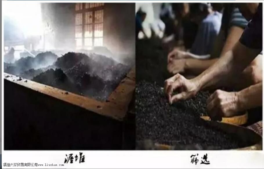 渥堆的主要目的有哪些 渥堆的主要目的有哪些