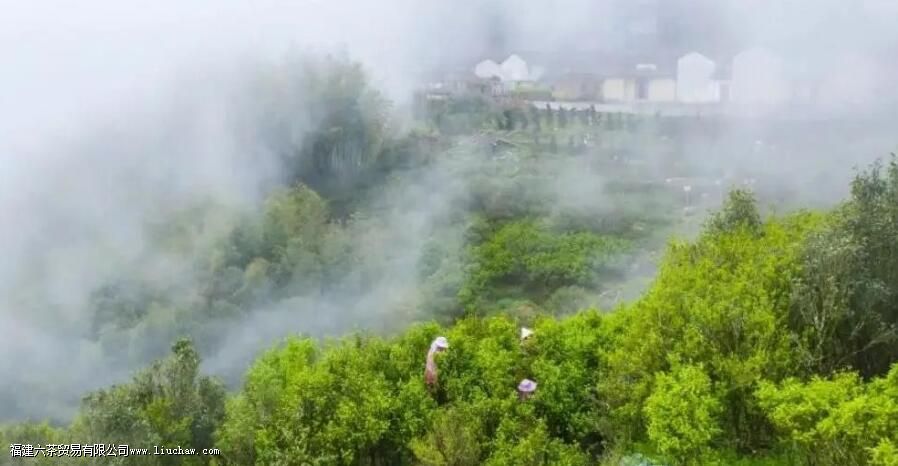 �ڶ�������ʲô��