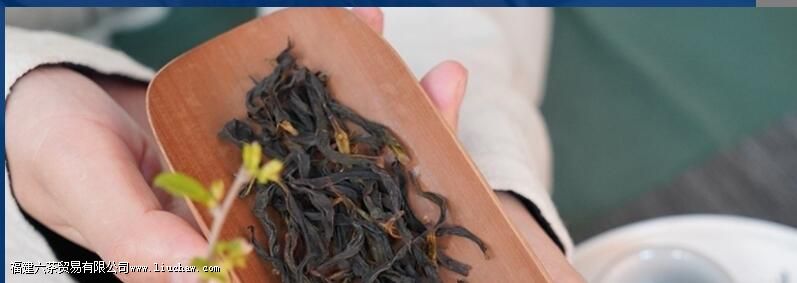 �ڶ�������ʲô��