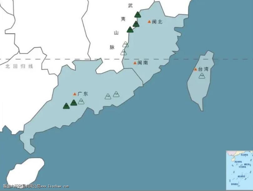 乌龙茶的代表茗茶以及种类 乌龙茶的代表茗茶以及种类