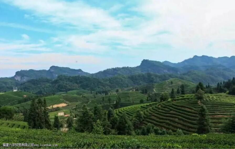 ������Ϊʲô��������