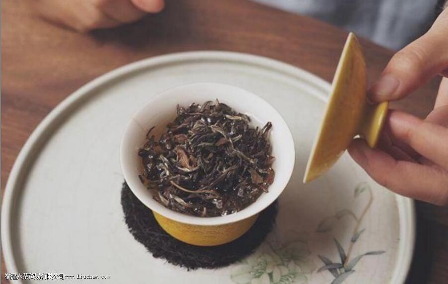 ��������ȫ���͵���