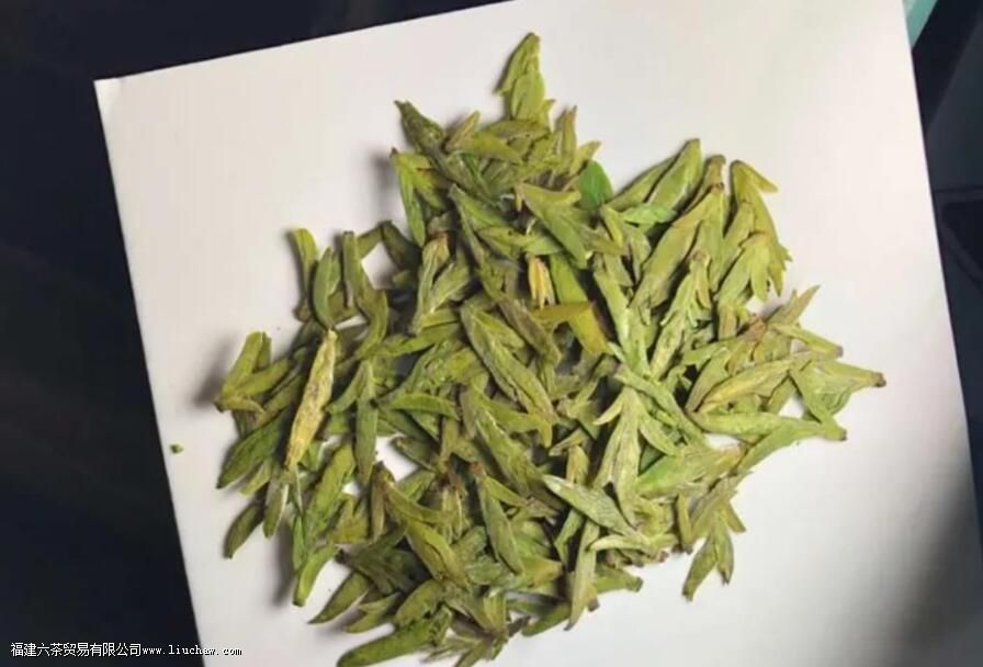 乌牛早属于什么茶叶 乌牛早属于什么茶叶