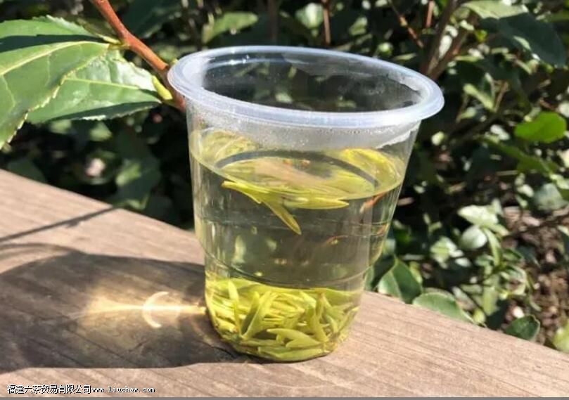 乌牛早属于什么茶叶 乌牛早属于什么茶叶