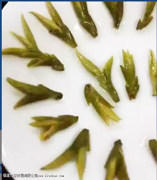 乌牛早属于什么茶叶 乌牛早属于什么茶叶