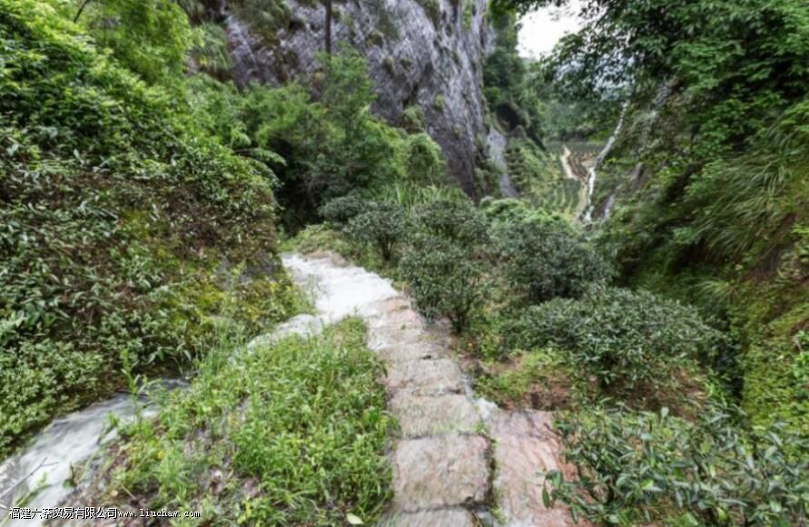 ����ɽɽ���ص�