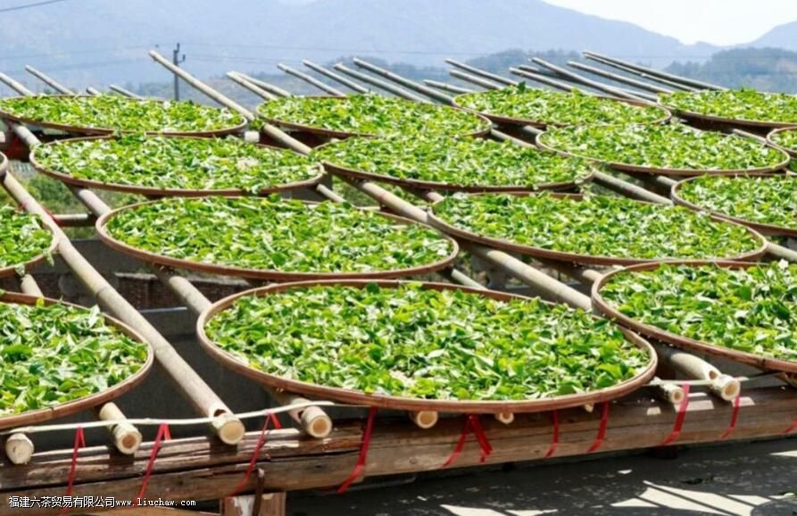 武夷岩茶有哪些种类,如何简单分辨 武夷岩茶有哪些种类,如何简单分辨