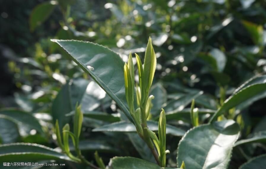 ��Դ�̲���ʲô������Щ�ص�