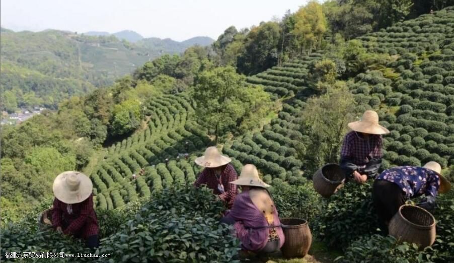 ����������԰��Ҫ�ֲ����ص�