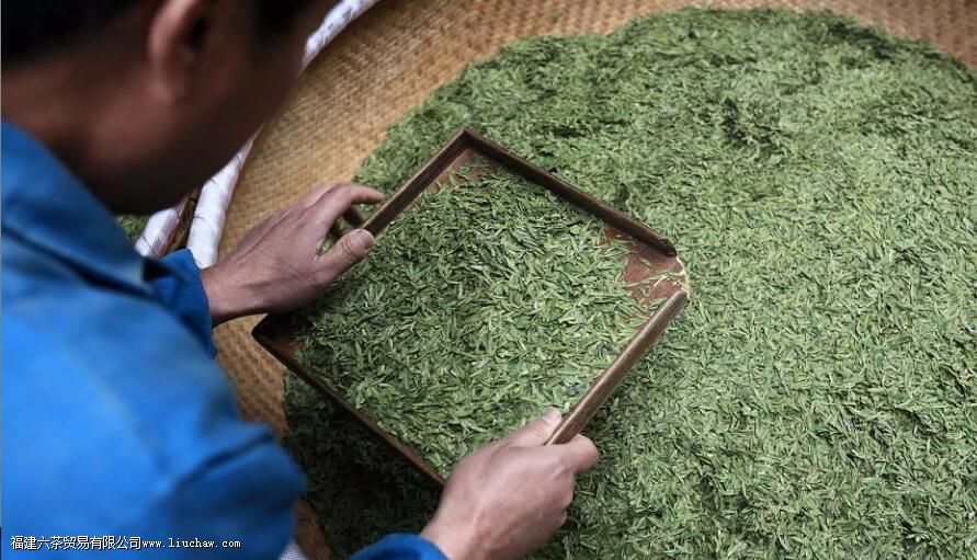 西湖龙井属于什么茶类 西湖龙井属于什么茶类