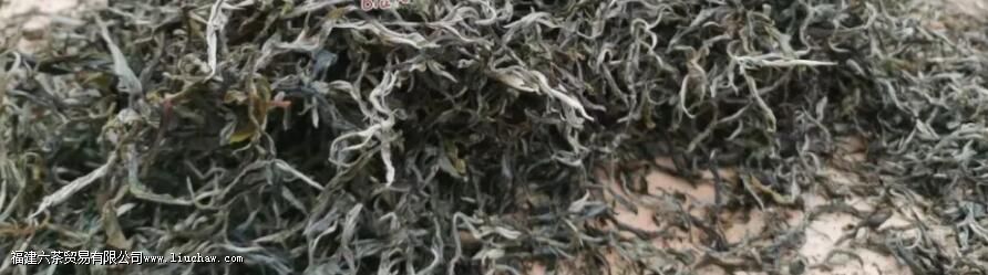 Ϭţ���ն�����ʲô�ص�