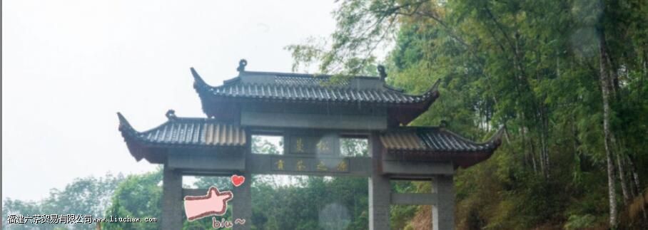 Ϭţ���ն�����ʲô�ص�