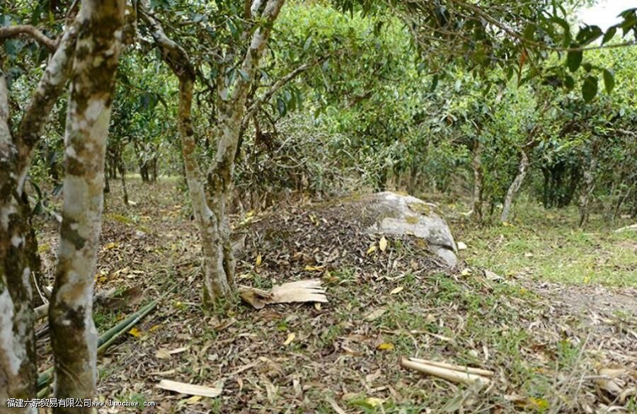 Ϭţ���ն�����ʲô�ص�