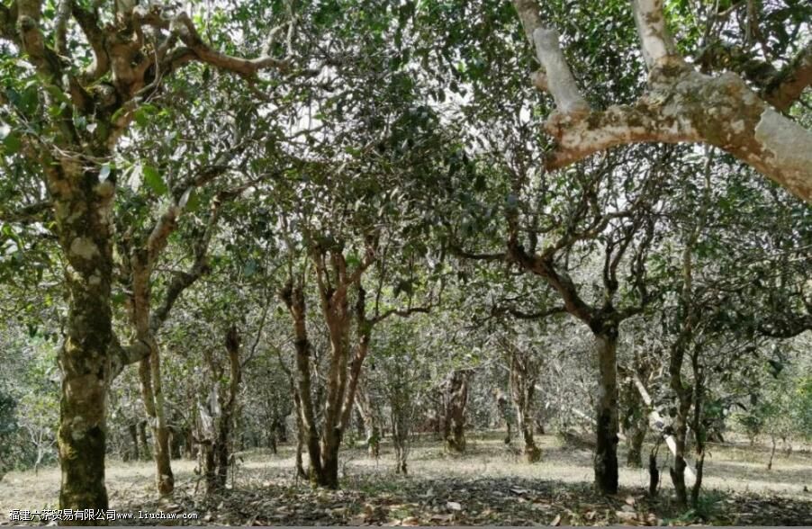 Ϭţ���ն�����ʲô�ص�