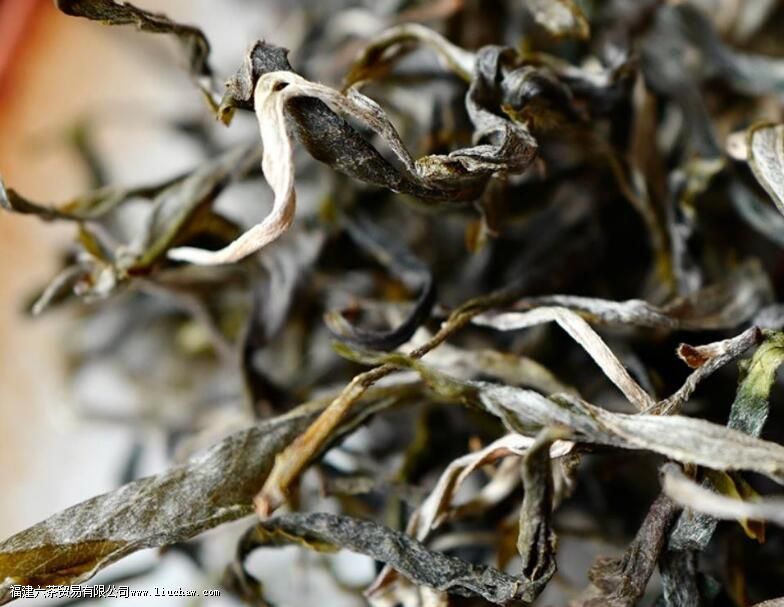 Ϭţ���ն�����ʲô�ص�