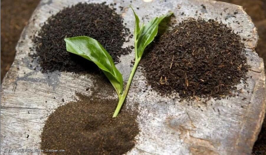 ����������ζ