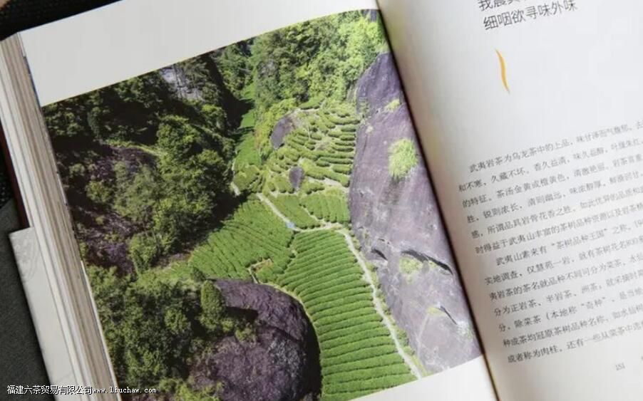 Ϫ�����㲻��˼��˵����ʲô