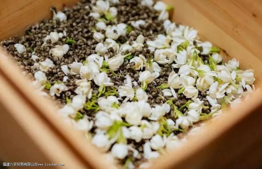 夏天喝什么茶女士 夏天喝什么茶女士